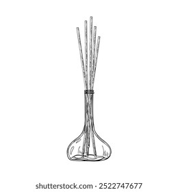 Aroma reed diffuser with scented sticks realistic isolated graphic sketch illustration. Spray bottle with essential organic perfume oil painted by black inks. For decor, spa salon design.