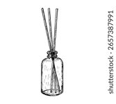 Aroma sticks diffuser in glass bottle sketch drawing. Aromatherapy, spa, meditation concept. Home fragrance with essential oils - hand-drawn outline illustration. Vector line art clipart