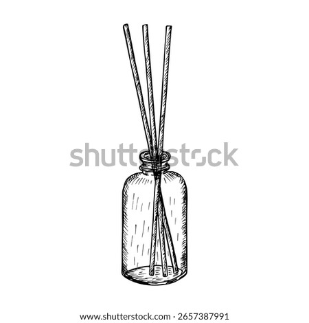 Aroma sticks diffuser in glass bottle sketch drawing. Aromatherapy, spa, meditation concept. Home fragrance with essential oils - hand-drawn outline illustration. Vector line art clipart