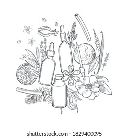 Aromatherapy. Essential oils. Vector sketch illustration.