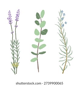 Aromatherapy Healing Herb Set with Eucalyptus Lavender and Rosemary
