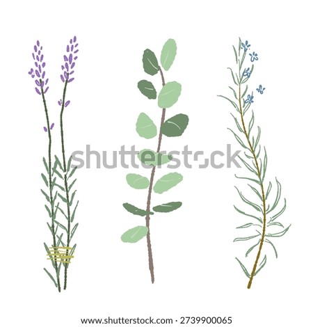Aromatherapy Healing Herb Set with Eucalyptus Lavender and Rosemary