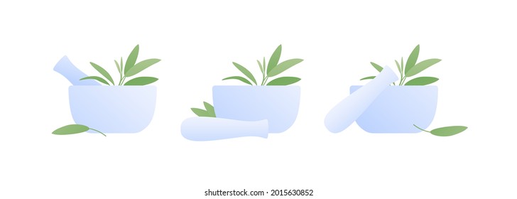 Aromatherapy and herbal medicine concept. Vector flat illustration set. Collection of mortar with sage leaves isolated on white background. Design element