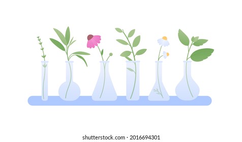 Aromatherapie und Kräutermedizin. Vektorflache Illustration. Sammlung verschiedener Kräuterblätter und Blumen in Flaschen auf horizontalem Regal einzeln auf weißem Hintergrund. Design-Element