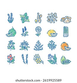 Aromatherapy Herbs Collection doodle icons set vector. Lavender Peppermint, Ginger Frankincense, Patchouli Chamomile Aromatherapy sketch hand drawn