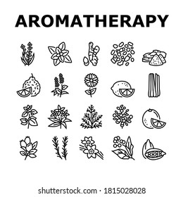 Aromatherapy Herbs Collection Icons Set Vector. Lavender And Peppermint, Ginger And Frankincense, Patchouli And Chamomile Aromatherapy Black Contour Illustrations