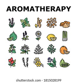 Aromatherapy Herbs Collection Icons Set Vector. Lavender And Peppermint, Ginger And Frankincense, Patchouli And Chamomile Aromatherapy Color Contour Illustrations