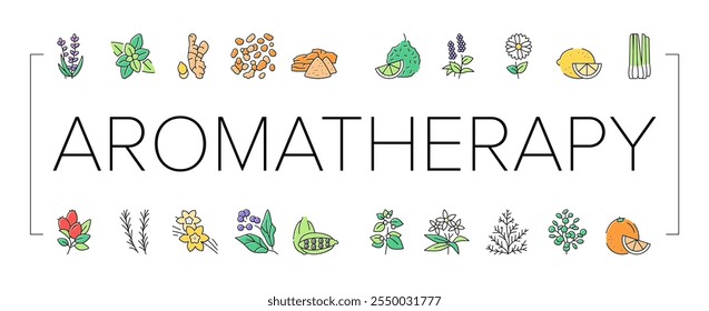 Aromatherapie Kräuter Sammlung Icons Set Vektor. Lavendel und Pfefferminze, Ingwer und Weihrauch, Patchouli und Kamille Aromatherapie Farbkonturen Illustrationen