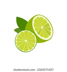 Aromatherapy herbs for essential oils collection