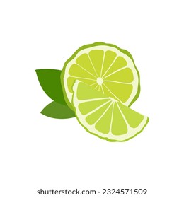 Aromatherapy herbs for essential oils collection