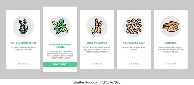 Aromatherapy Herbs Onboarding Mobile App Page Screen Vector. Lavender And Peppermint, Ginger And Frankincense, Patchouli And Chamomile Aromatherapy Illustrations