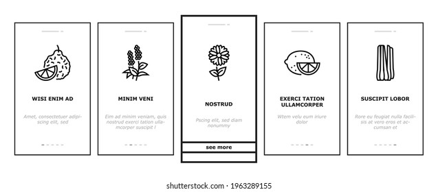 Aromatherapy Herbs Onboarding Mobile App Page Screen Vector. Lavender And Peppermint, Ginger And Frankincense, Patchouli And Chamomile Aromatherapy Illustrations