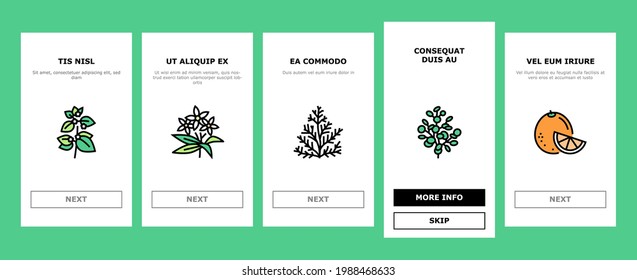 Herbos de aromaterapia en el tablero de aplicaciones móviles Vector de pantalla. Ilustraciones De Lavanda Y Peppermint, Ginger Y Frankincense, Patchouli Y Aromaterapia Chamomile