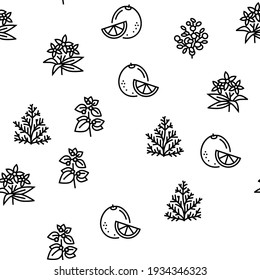 Aromatherapy Herbs Vector Seamless Pattern Thin Line Illustration