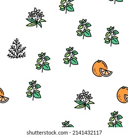 Aromatherapy Herbs Vector Seamless Pattern Thin Line Illustration