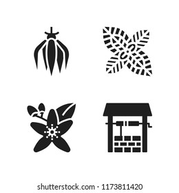 aromatherapy icon. 4 aromatherapy vector icons set. peppermint, neroli and well icons for web and design about aromatherapy theme