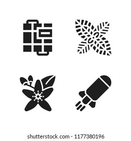 aromatherapy icon. 4 aromatherapy vector icons set. bomb, peppermint and neroli icons for web and design about aromatherapy theme