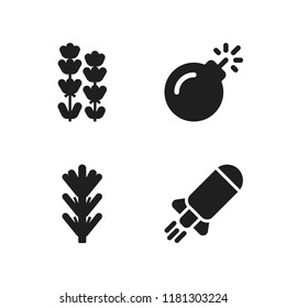 aromatherapy icon. 4 aromatherapy vector icons set. rosemary, lavender and bomb icons for web and design about aromatherapy theme
