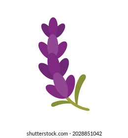 Aromatherapy lavender icon. Flat illustration of aromatherapy lavender vector icon isolated on white background