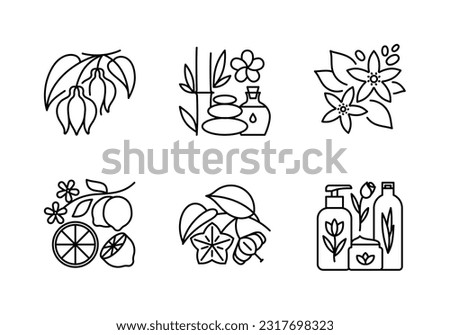 Aromatherapy line icon set. Ylang-ylang, essential oil, neroli, massage stones, citruses, sacha inchi, organic cosmetics. Relaxation and spa concept. Editable linear icon in minimalist style