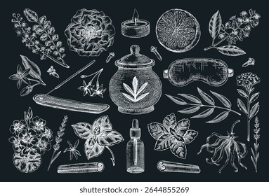 Aromaterapia, spa, bem-estar desenhado à mão ilustrações vetoriais. Esboços de ingredientes orgânicos no quadro. Elementos de design de autocuidado. NÃO gerado AI