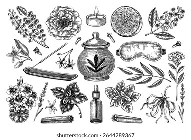 Aromaterapia, spa, bem-estar desenhado à mão ilustrações vintage. Garrafa de óleo essencial, suporte de incenso, máscara de sono, ervas, esboços de ingredientes orgânicos. Elementos de design de autocuidado. NÃO gerado AI