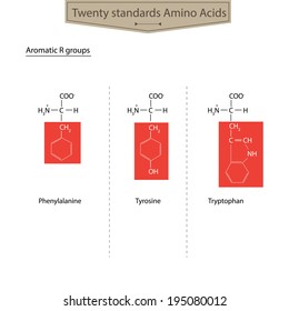 Aromatic amino acids.