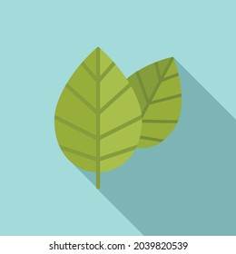 Aromatic basil food icon flat vector. Herb leaf. Spice plant