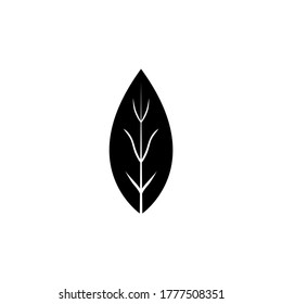Aromatic Bay Laurel Leaf, Aroma Spice. Flat Vector Icon illustration. Simple black symbol on white background. Aromatic Bay Laurel Leaf, Aroma Spice sign design template for web and mobile UI element svg
