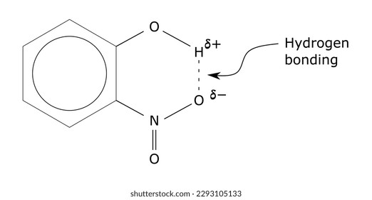 Aromatic chemical compound hydrogen bonding h bond nitrogen phenol oxygen nitro ortho intramolecular benzene ring partial positive negative charge structure organic chemistry vector svg
