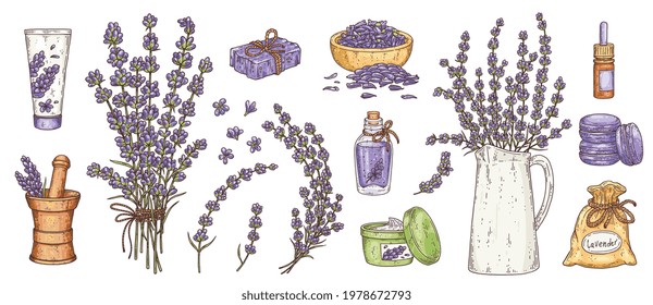 Aromatic and cosmetic products containing lavender oils, hand drawn vector illustration isolated on white background. Set of lavender plant flowers and cosmetics.