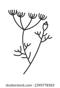 Aromatic dill ingredient for cooking and preparing dishes. Drawing of plant with leaves and branches with flourishing, fragrant product. Isolated monochrome outline icon. Vector in flat style