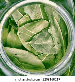 aromatic dried green bay leaves