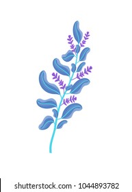 Aromatic fresh melissa branch with ripe blossom. Healthy wild herb with pleasant smell. Thin branch of herbal plant isolated vector illustration.