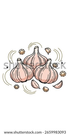 Aromatic garlic bulbs and cloves illustration for culinary designs and food concepts