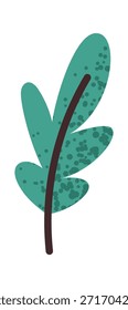 Hoja verde aromática para cocinar