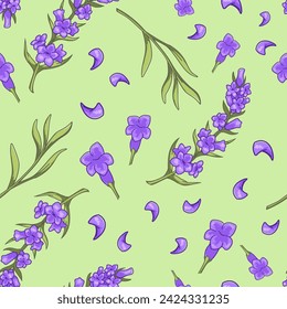 Aromatic herb with fragrant inflorescences genus Lavandula. Botany ornament with twigs, flowers and petals for textile and fabric. Wallpaper or background print, seamless pattern. Vector in flat style