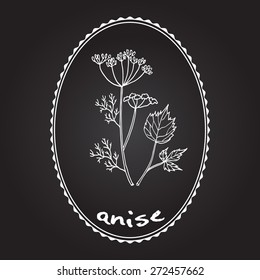 aromatic herbs, anise