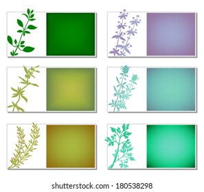 Aromatic Herbs Banners. Set of six labels with aromatic plants silhouettes. Stickers for web or packaging design. Vector file is EPS8.