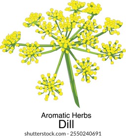 ervas aromáticas coleção dill escalável editável