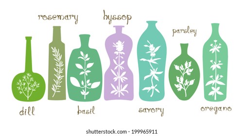 Aromatic herbs essentials. Different bottles with silhouettes of aromatic plants. Abstract extracts with herbs. Hand drawn text. Design elements for cooking ideas. Vector is EPS8.