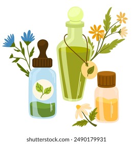 Aromatische Kräuter und pflanzliche medizinische Elixiere in Flaschen. Blumen, Blumenpflanzen, Blätter. Alternative natürliche Essenzen. Flache grafische Vektorillustration auf weißem Hintergrund