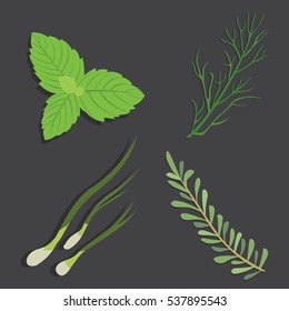 Aromatic herbs set. Fresh  and spices . Vector illustration.