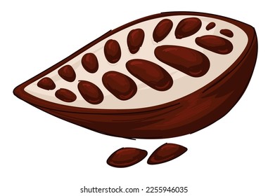 Aromatic ingredient with bitter taste, cocoa pod with seeds and beans. Isolated icon of organic food used by maya people in ancient times. Ecologically grown fresh product. Vector in flat style
