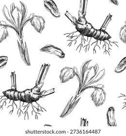 Aromatic iris background. Orris root hand drawn vector illustration. Vintage style medicinal plant seamless pattern for perfumery and natural products. Not AI generated.
