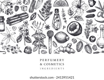 Aromatic plants background. Perfumery ingredients banner. Flower, fruit, spice, herb sketches. Hand drawn vector illustration. Cosmetics packaging design template. 