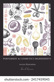 Aromatic plants flyer template. Perfumery ingredients banner. Flower, fruit, spice, herb sketches. Hand drawn vector illustration. Cosmetics packaging design