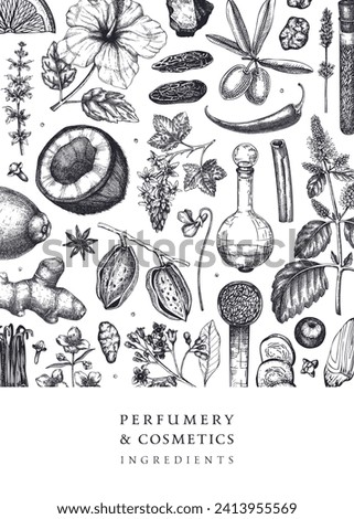 Aromatic plants flyer template. Perfumery ingredients banner. Flower, fruit, spice, herb sketches. Hand drawn vector illustration. Cosmetics packaging design