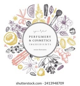 Aromatic plants wreath. Perfumery and cosmetics ingredients banner. Flower, fruit, spice, herb sketches. Hand drawn vector illustration. Packaging design template. 