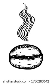 Aromatic roasted coffee bean. Hand drawn engraving graphic vector illustration in black isolated on white background.